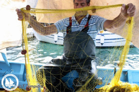 nets with holes