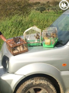 birds saved 22.03