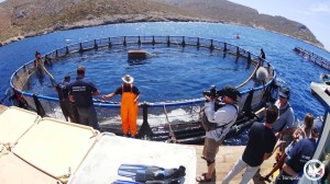 wdr leros