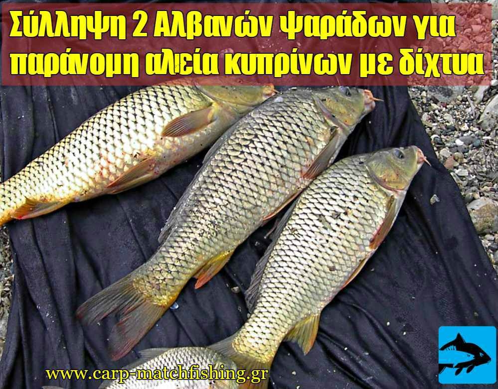 Σύλληψη Αλβανών για παράνομη ψαριά κυπρίνων με δίχτυα