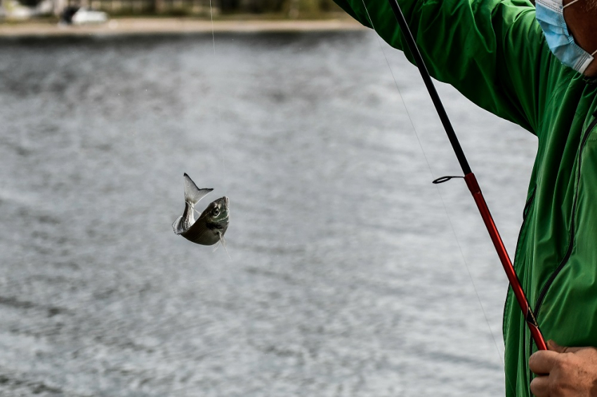 Νέα δεδομένα για το ψάρεμα. Τι επιτρέπεται!