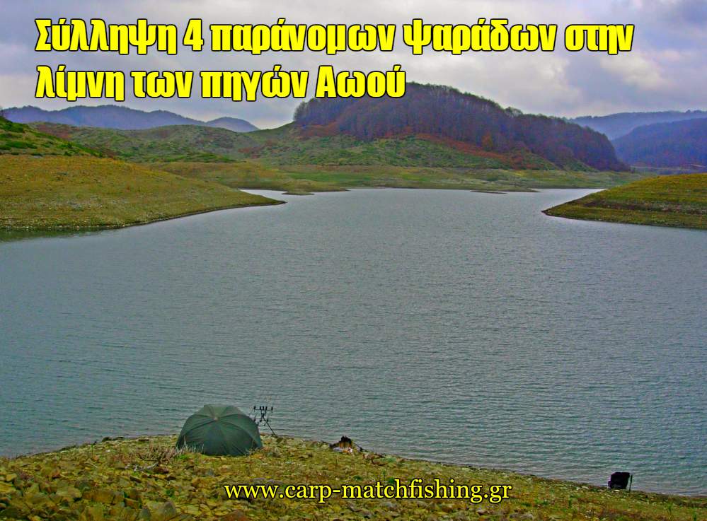 silipsi-paranomon-psaradon-stin-limni-aoou-carpmatchfishing.jpg