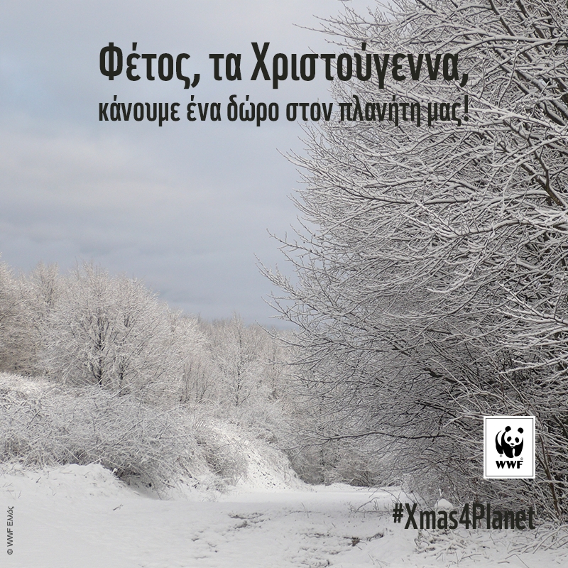 Φέτος τα Χριστούγεννα κάνουμε ένα δώρο στον πλανήτη!