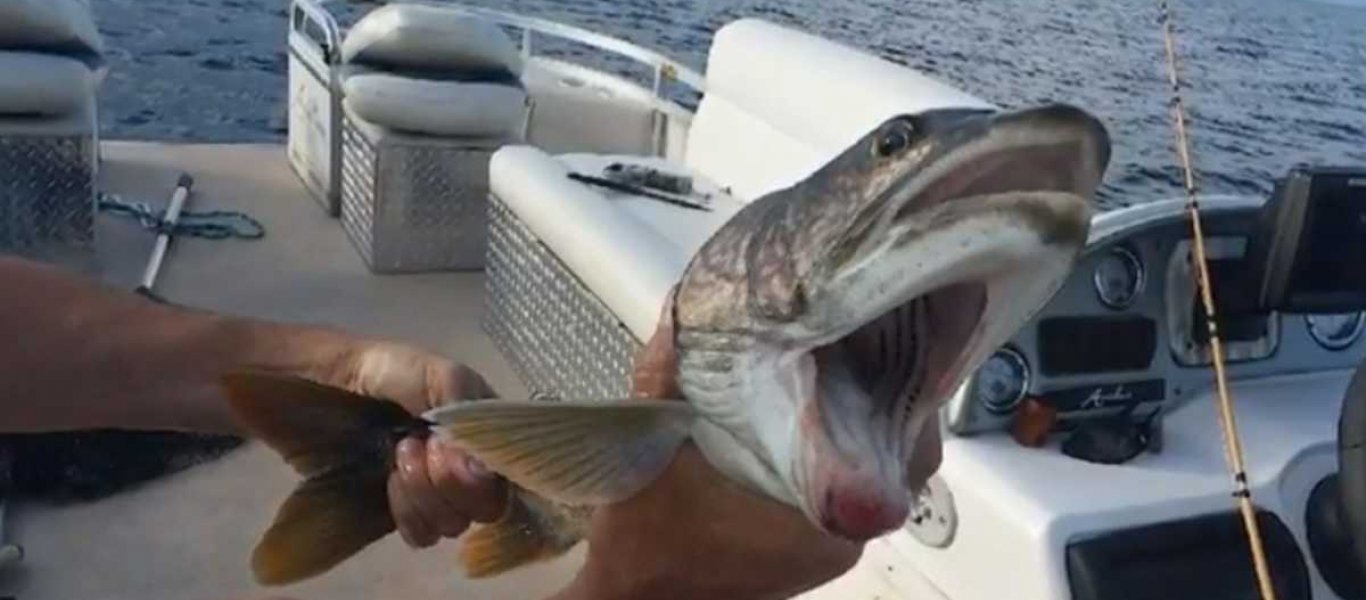 Βγήκε για ψάρεμα &amp; τους άφησε άφωνους