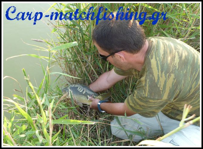 catch and release river carp