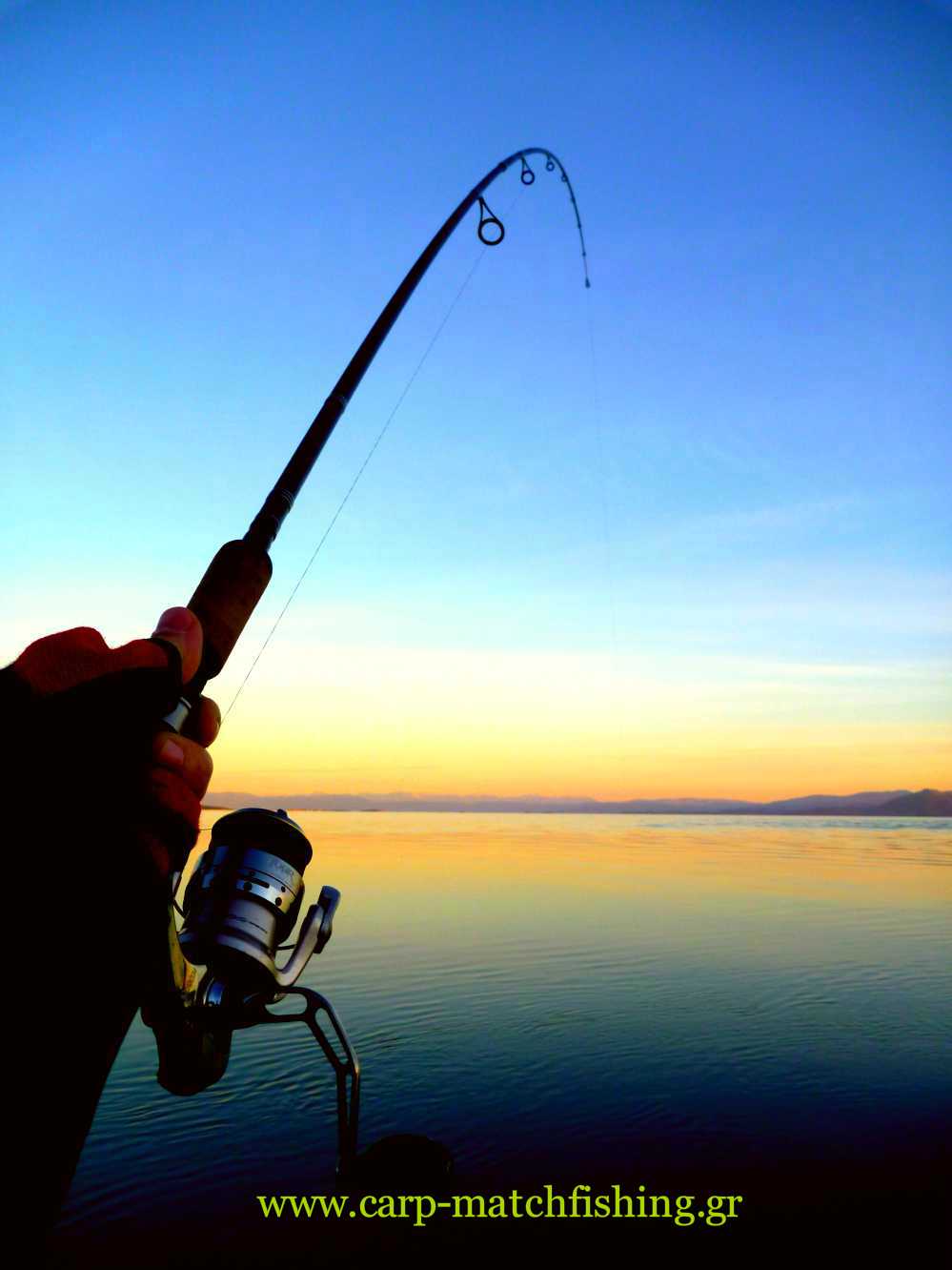 spinning-silikones-rodcurve-carpmatchfishing.jpg