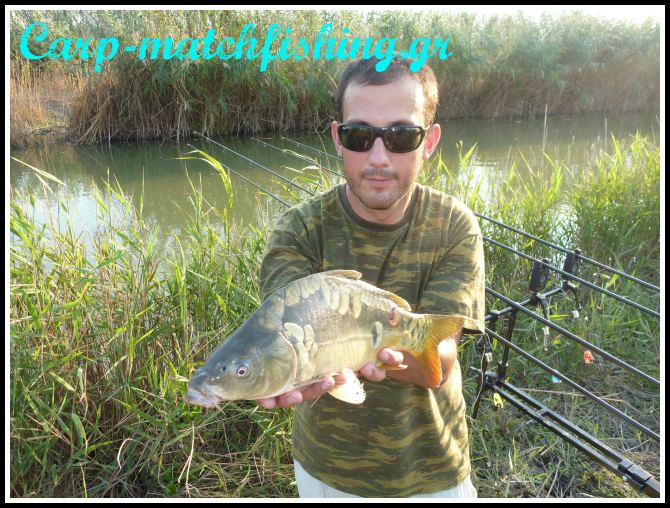 nikos zaras carp