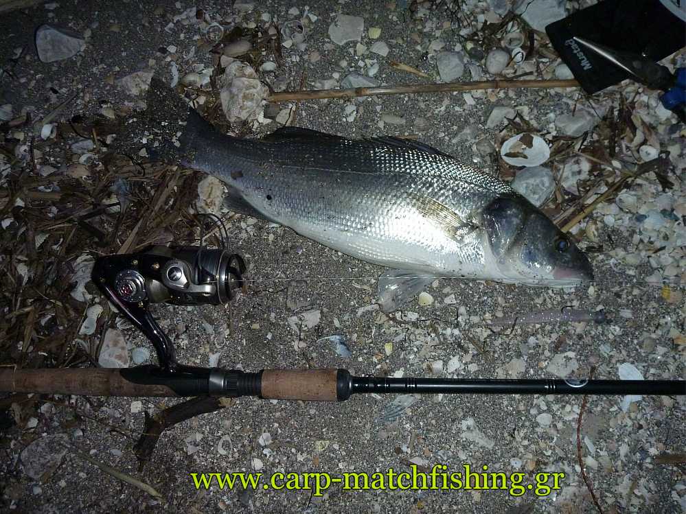lavraki-spinning-silikones-carpmatch.jpg