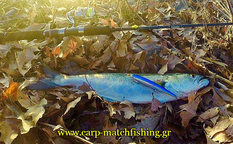 gofari-spinning-se-ekvoles-potamion-carpmatchfishing