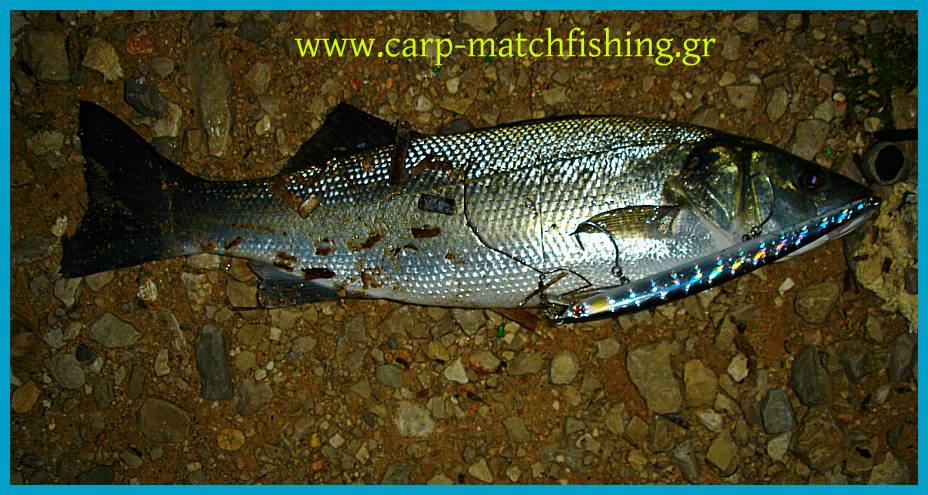 www.carp-matchfishing.gr. Spinning για γοφάρια σε δυνατά θαλάσσια ρεύματα