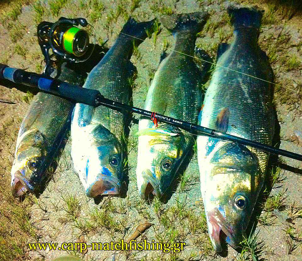lavrakia-spinning-ekvoles-potamion-carpmatchfishing