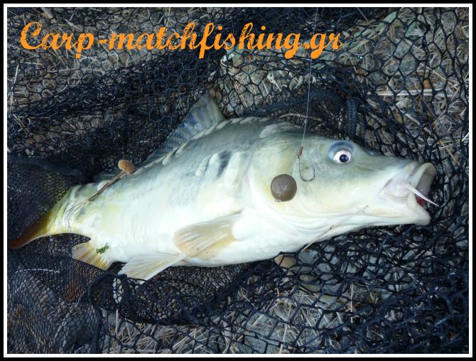 chod rig
