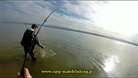 spinning-lavraki-paravoli-carpmatchfishing