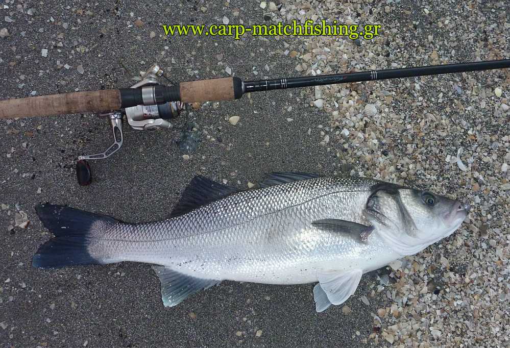 lavraki-silikones-spinning-sand-carpmatch.jpg