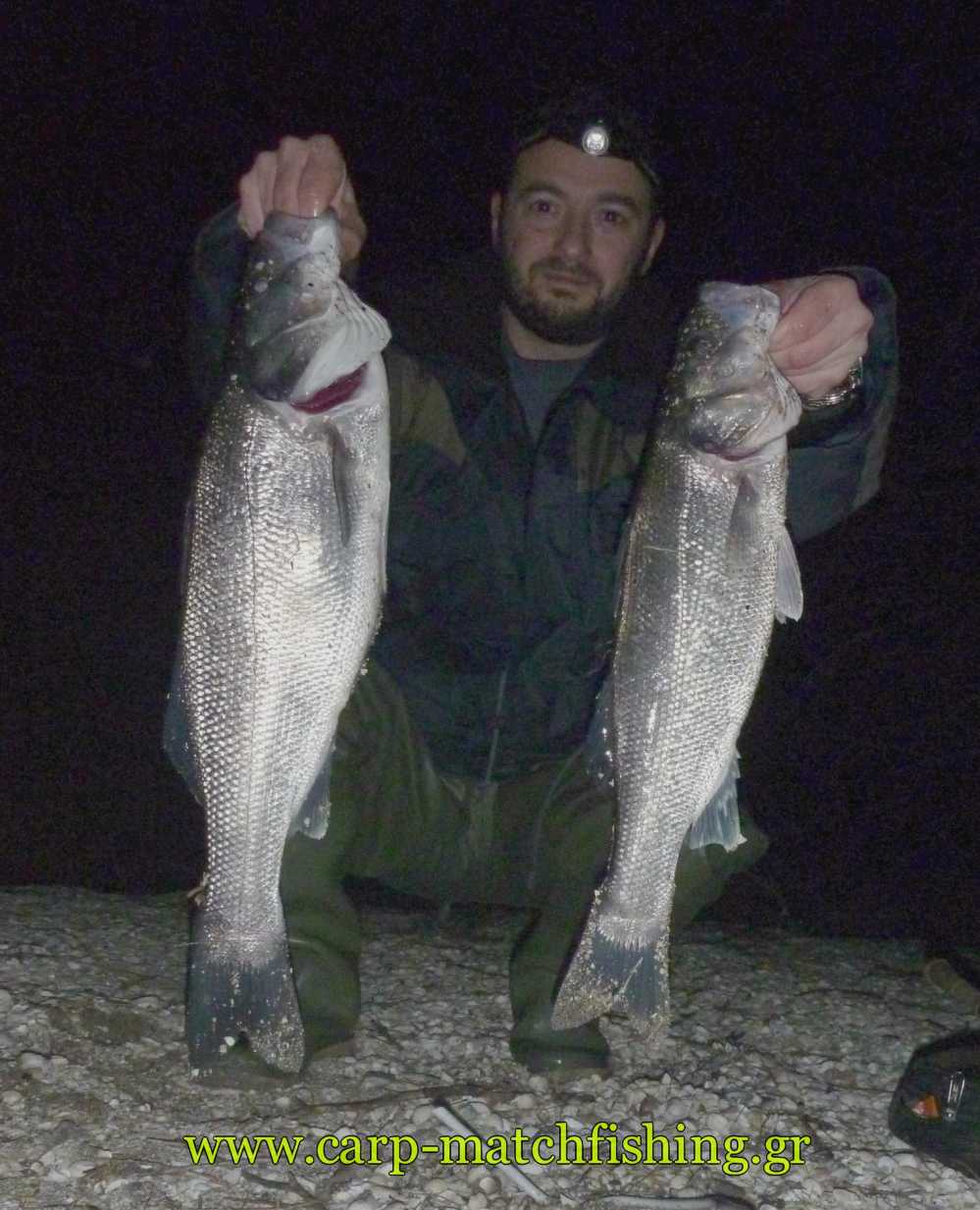 lavrakia2-spinning-silikones-sf-carpmatch.jpg
