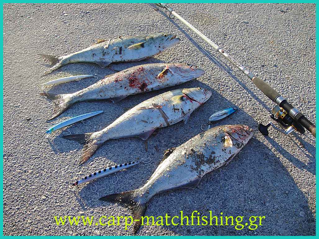 www.carp-matchfishing.gr. Spinning για γοφάρια σε δυνατά θαλάσσια ρεύματα
