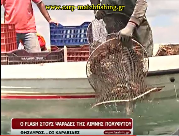 limni-polifitou-karavides-carpmatchfishing