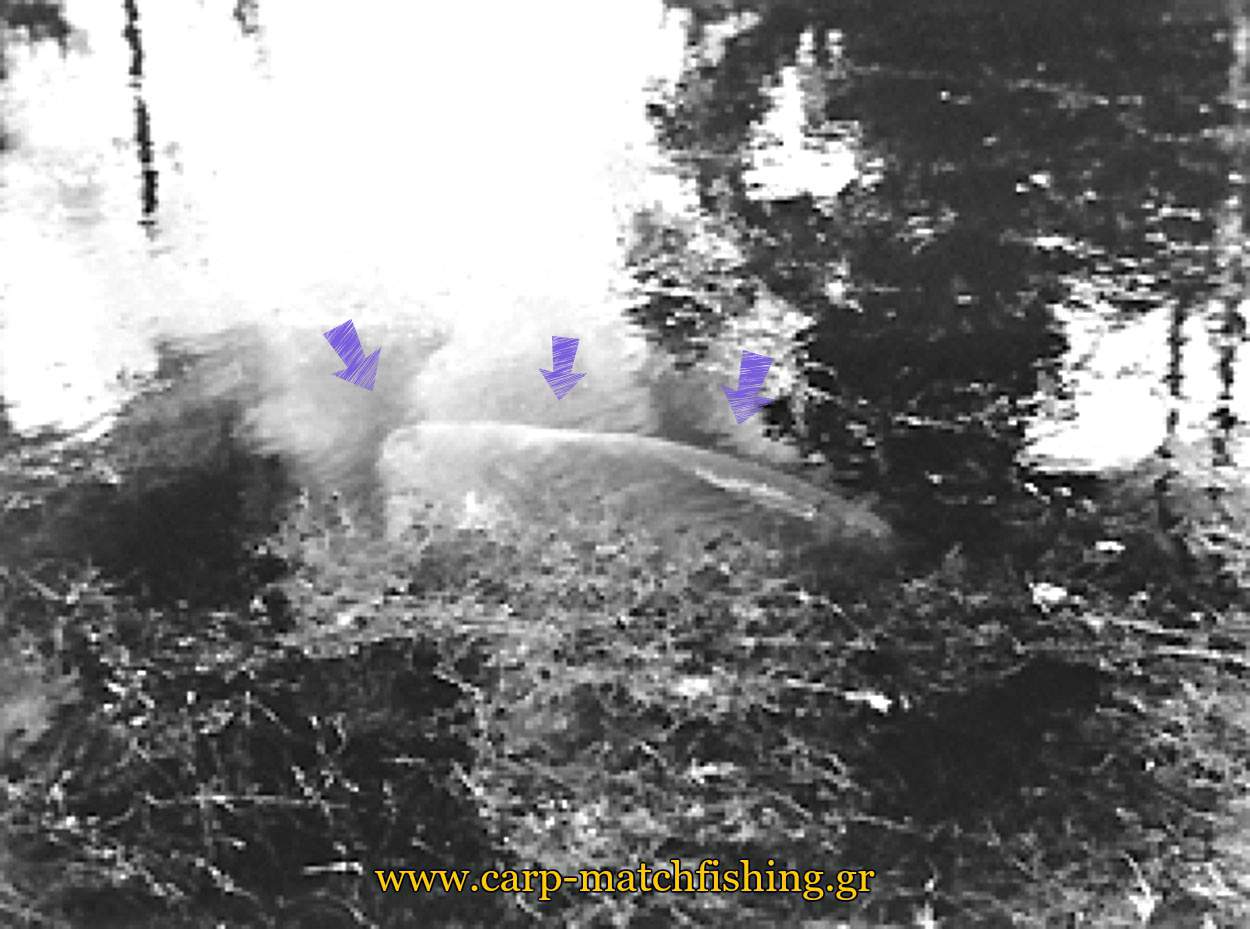 6-monster-carp-legends-of-carpfishing-carpmatchfishing