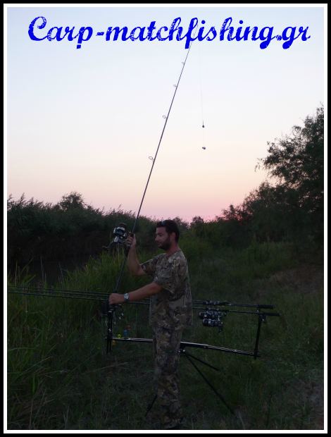 potami carp voli