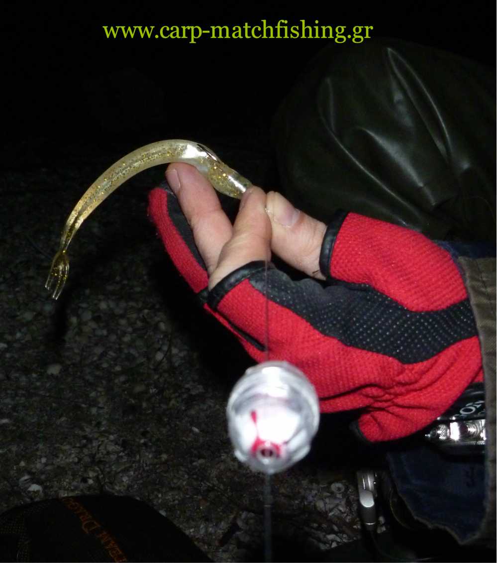 silikoni-setting-blutbombette-carpmatch.jpg