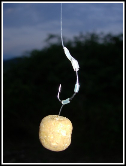 carp rig sfaltos
