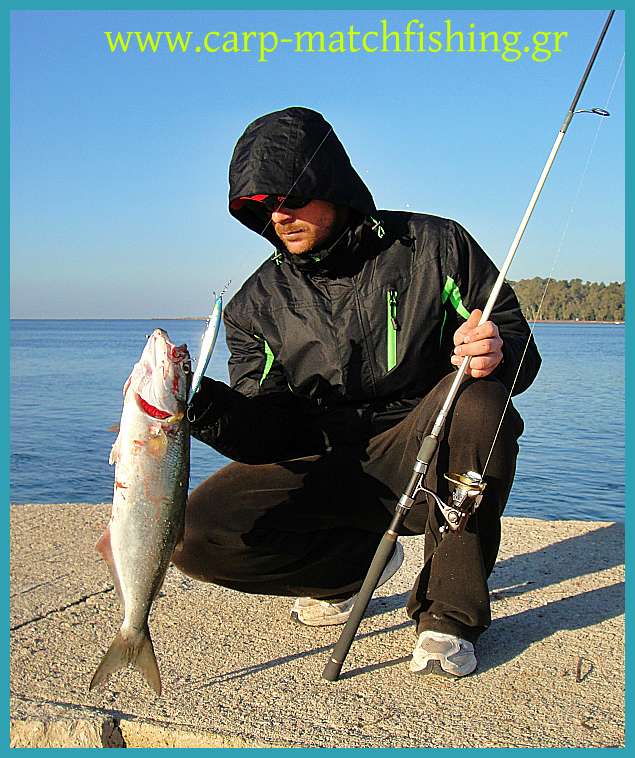 www.carp-matchfishing.gr. Spinning για γοφάρια σε δυνατά θαλάσσια ρεύματα