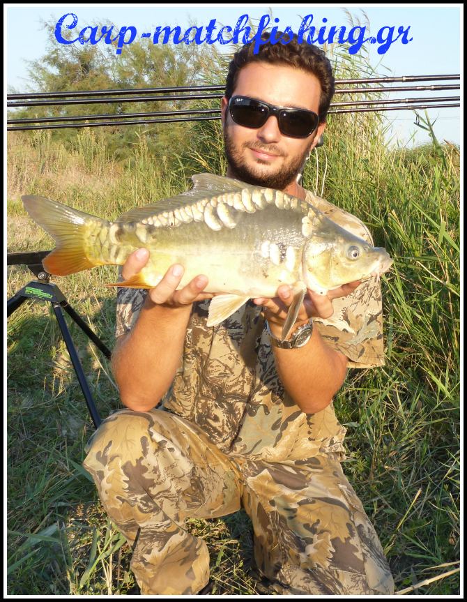 potami carp