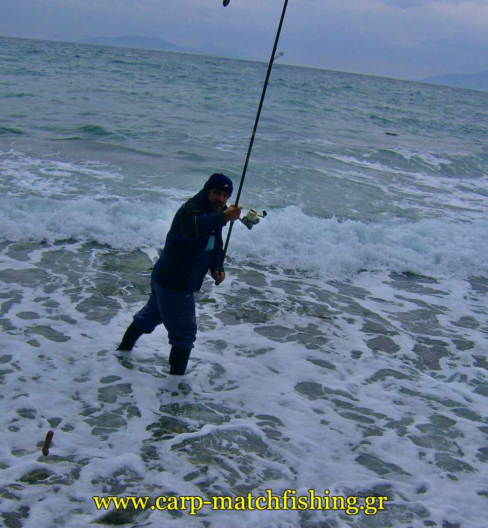 surfcasting-voli-sargoi-carpmatchfishing