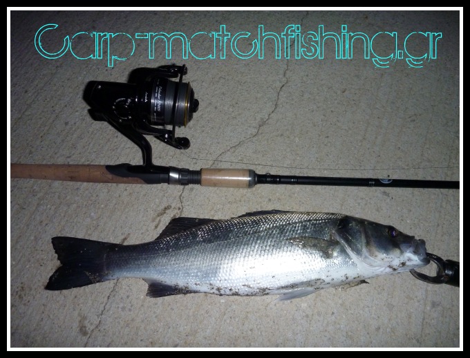 labraki fishmaker