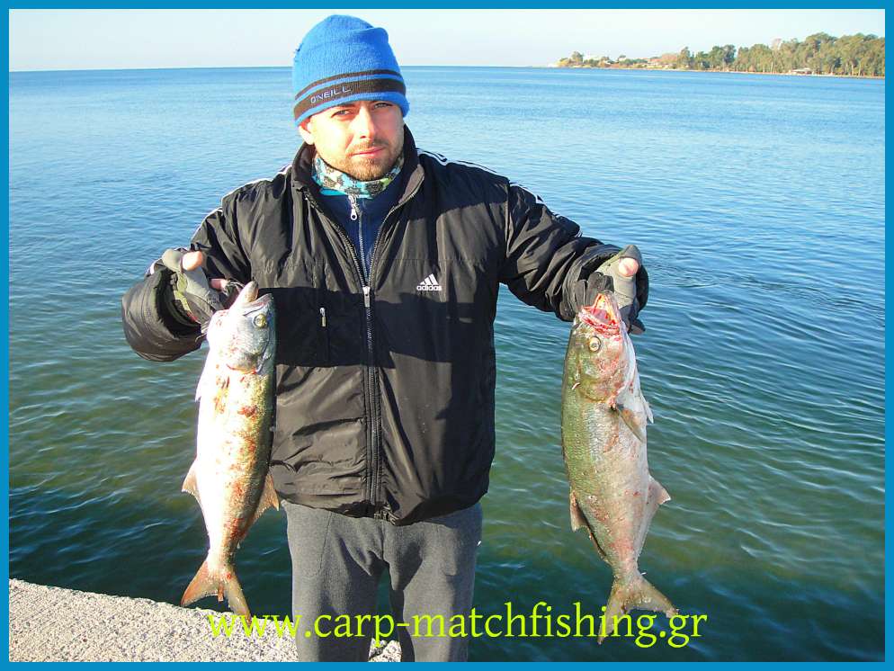 www.carp-matchfishing.gr. Spinning για γοφάρια σε δυνατά θαλάσσια ρεύματα