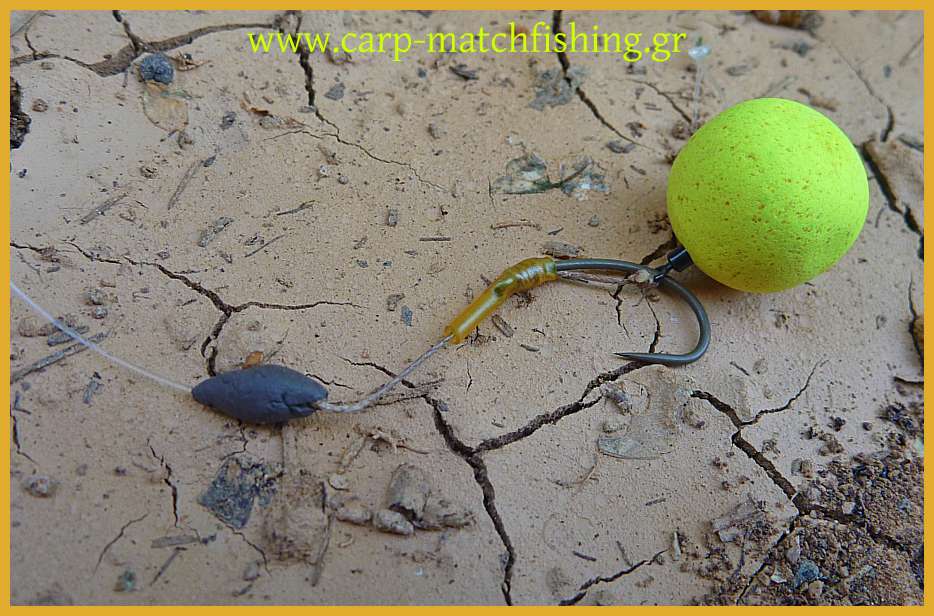 www.carp-matchfishing.gr.Τα πάντα για το ψάρεμα στα γλυκά νερά και το ψάρεμα του κυπρίνου. Το παράμαλο ds rig