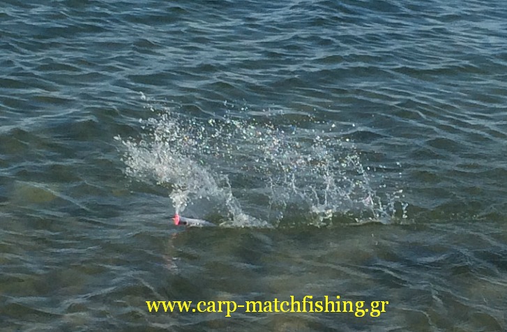 spinning-poppers-splash-l