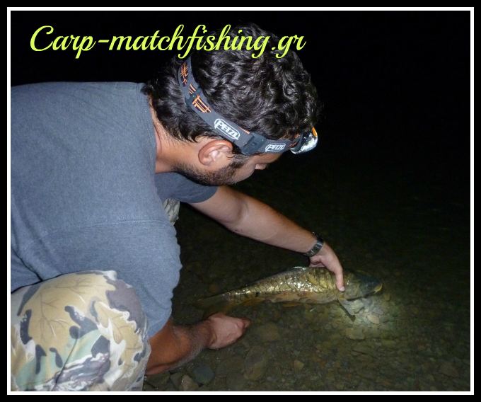 catch & release kyprinos