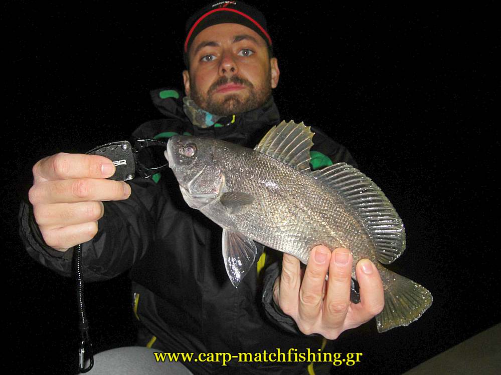 sikios-fish-grips-lrf-carpmatchfishing