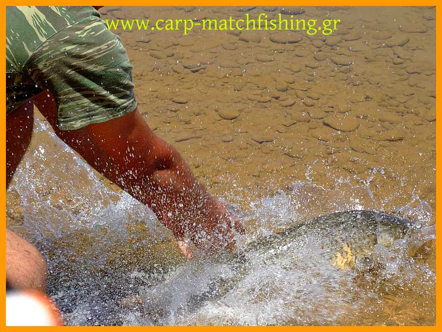 www.carp-matchfishing.gr. Catch and release