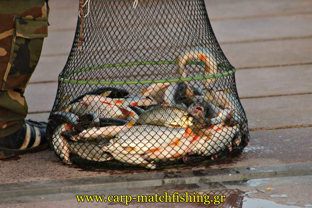 limni-polifitou-ntaouli-carpmatchfishing