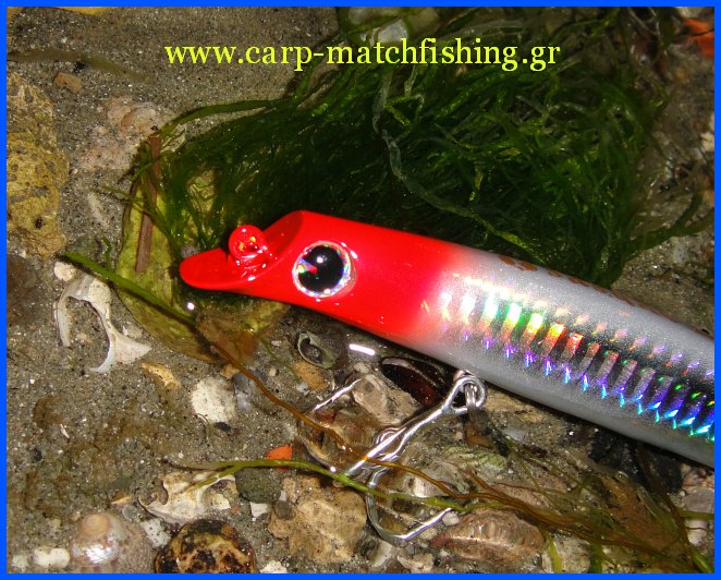 sasuke-head-carpmatchfishinggr