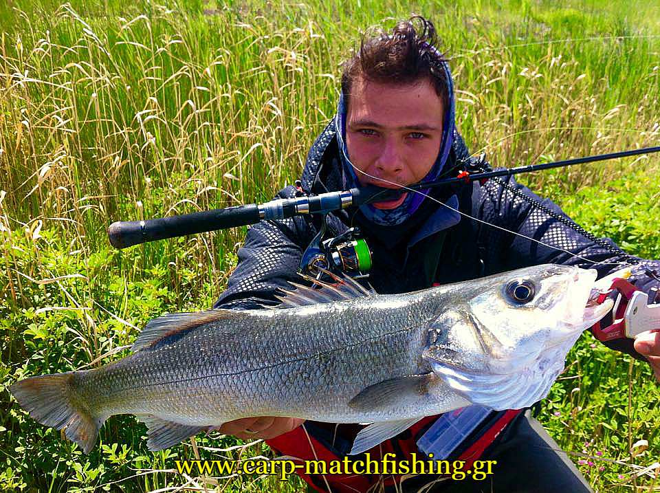 spinning-gia-lavrakia-se-ekvoles-potamon-carpmatchfishing