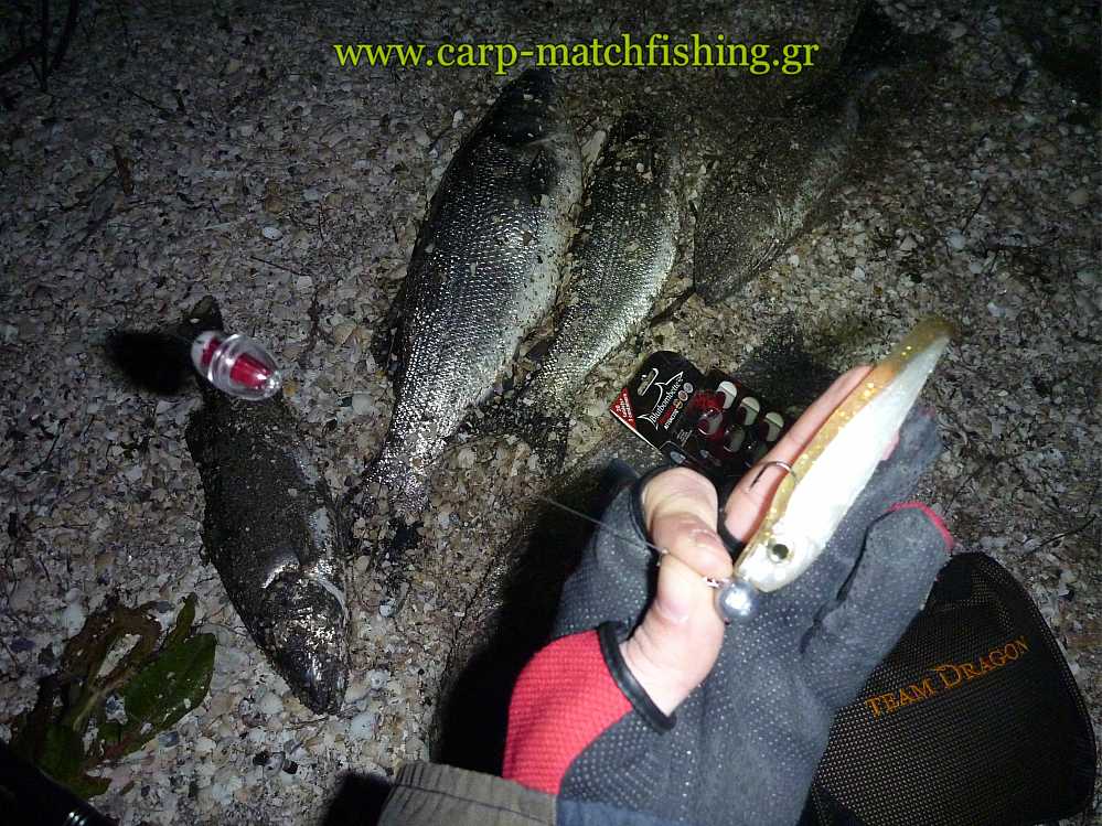 spinning-silikones-blutbombette-carpmatchfishing.jpg