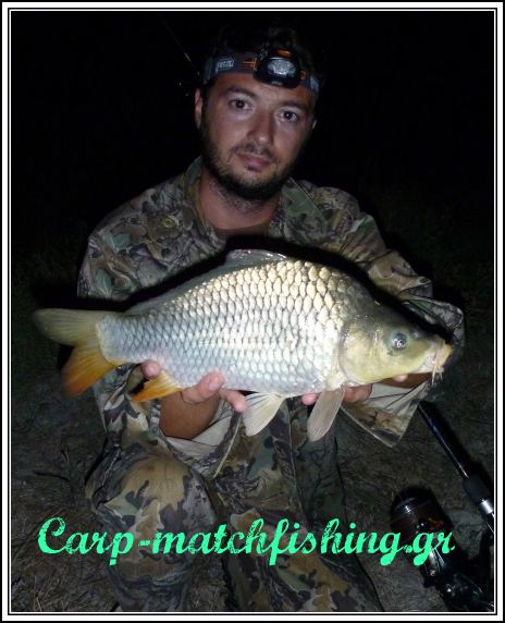 potami-carp common
