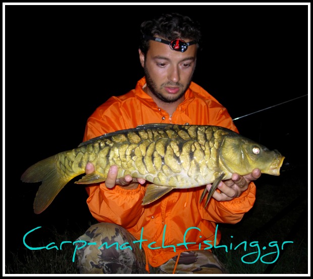 carp