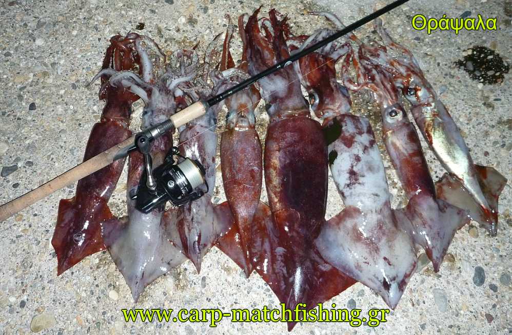 thrapsala-many-eging-carpmatchfishing.jpg