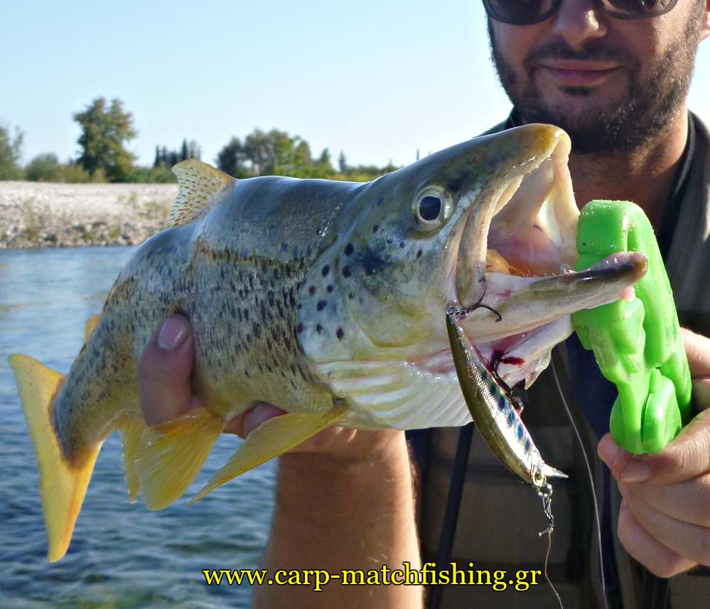 trout-fishing-lure-ryuki-carpmatchfishing-sfaltos