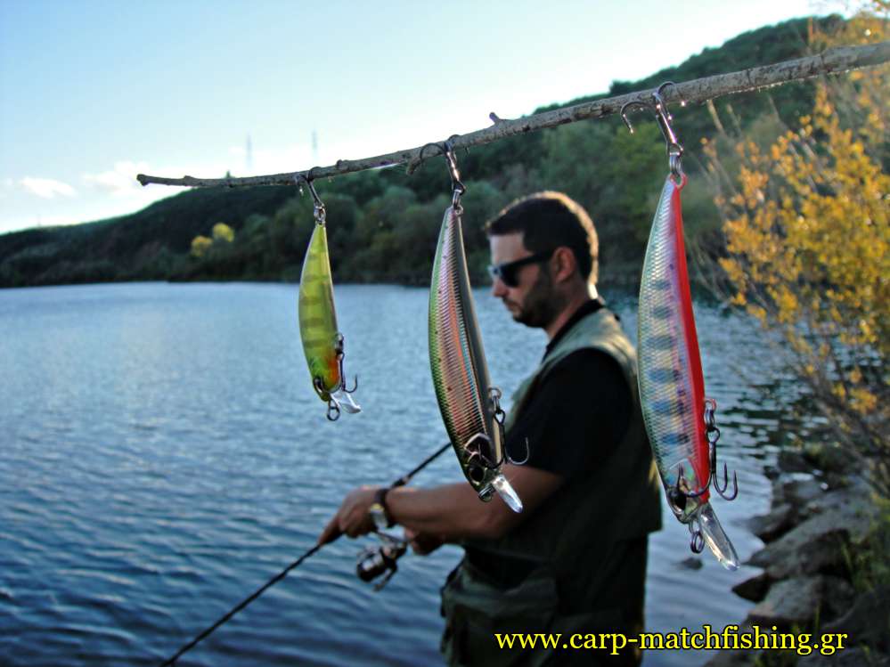 trout-fishing-lures-tree-spinning-carpmatchfishing