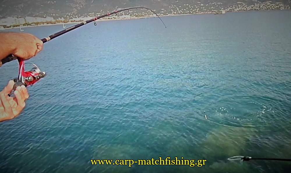 kefalos-apoxiasma-match-fishing-splash-carpmatchfishing