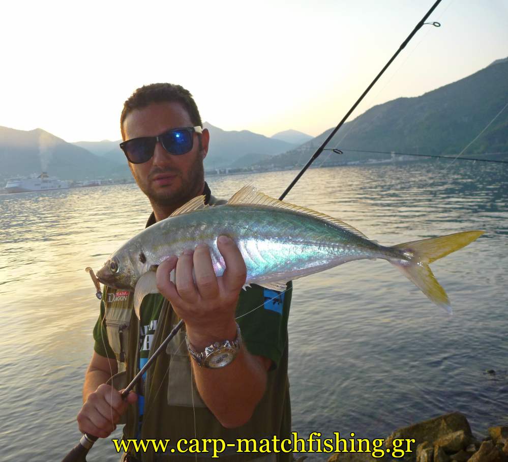 kokkali-malagra-angry-fish-ajing-light-rock-carpmatchfishing