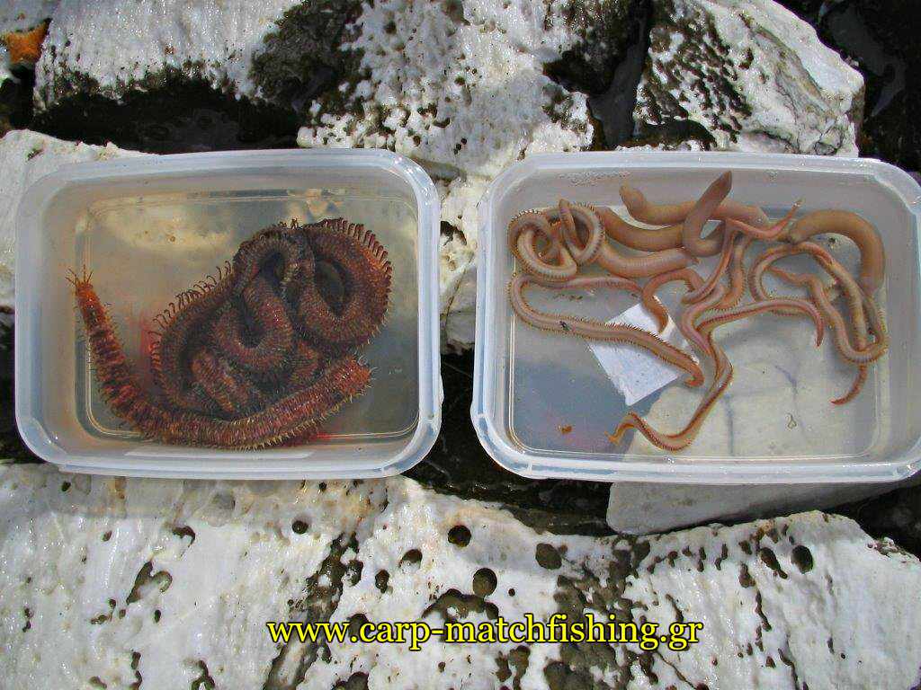 farao-monodoli-casting-dolomata-carpmatchfishing