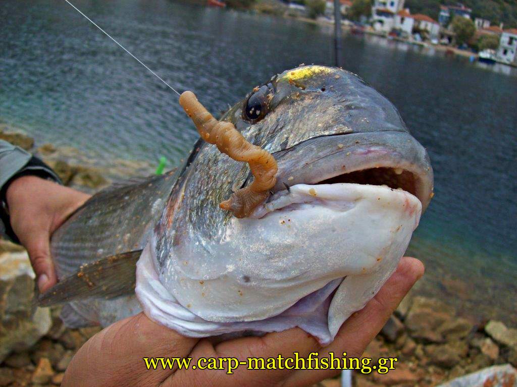 trikeri-casting-tsipoura-monodoli-carpmatchfishing