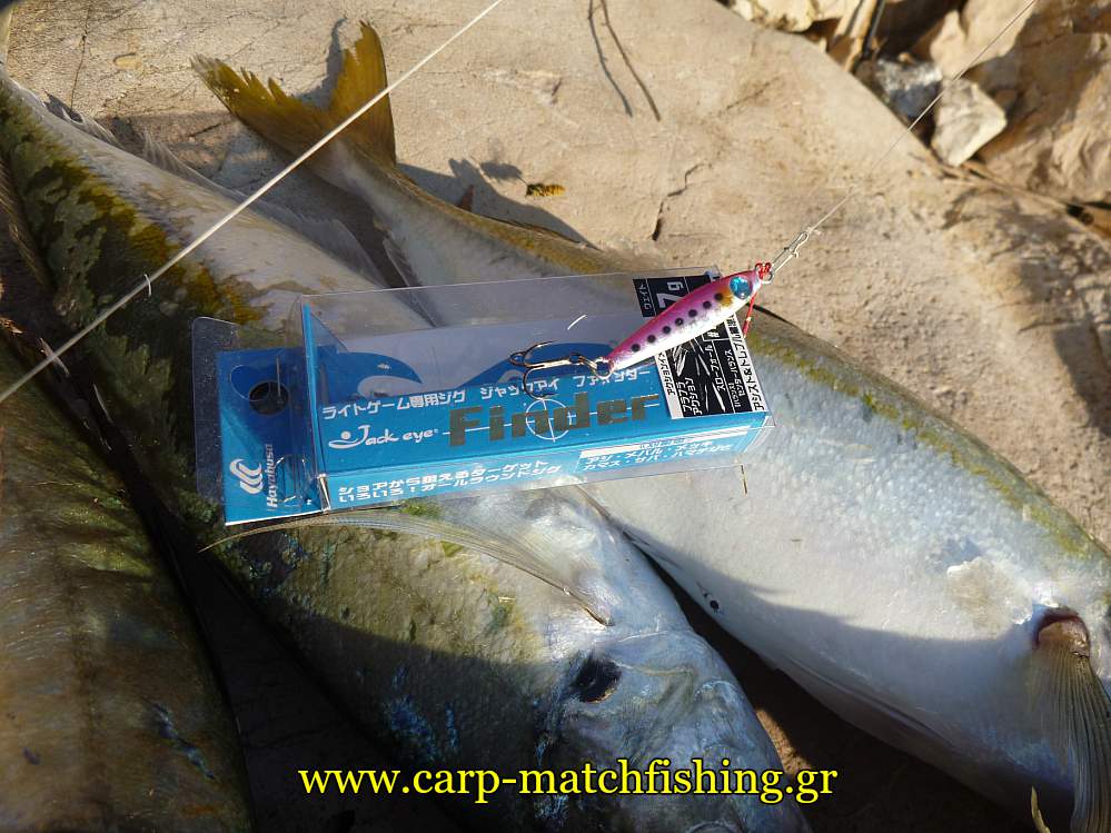 kokkalia-jig-ajing-carpmatchfishing