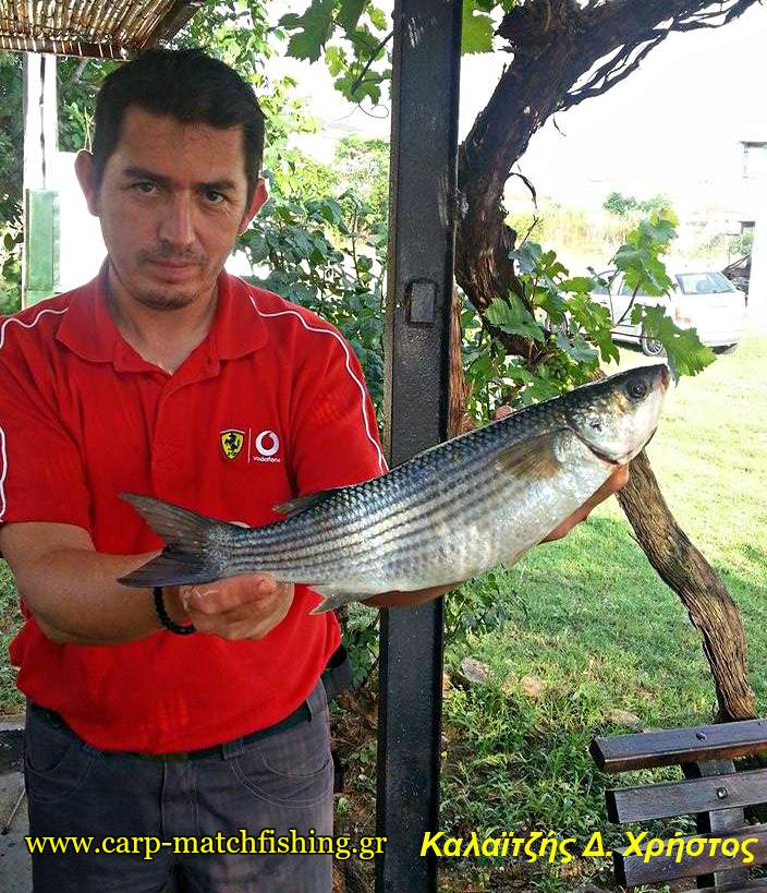kefalos-match-mullet-carpmatchfishing